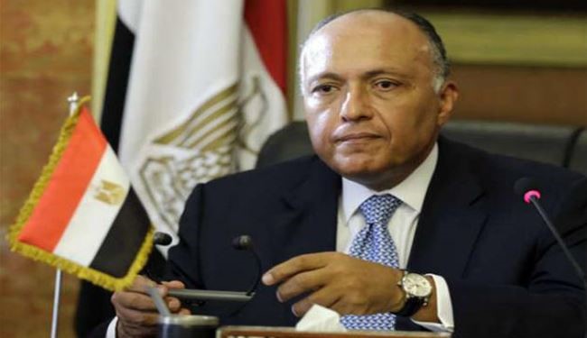 واکنش مصر به دخالت عربستان در سوریه