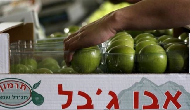 Islamic Nations Urge Global Ban on Israeli Products