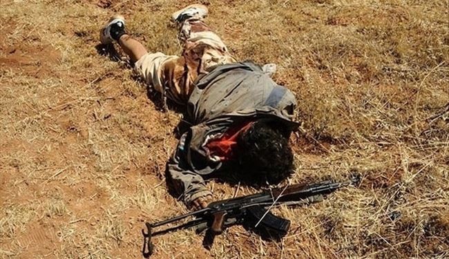 Militants' Logistic Commander Killed in Clashes with Syrian Army in Hama