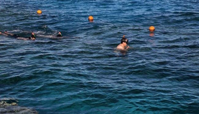 شنای آل خلیفه در شرم الشیخ +عکس