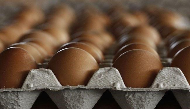 داعش در لیبی تخم‌مرغ می‌فروشد!