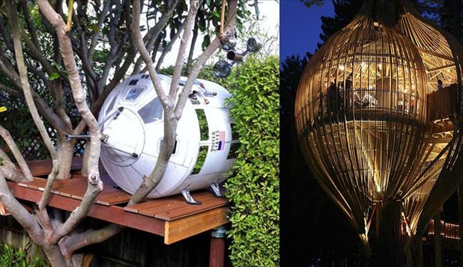 Never Seen Before: Most Beautiful Tree Houses Around the World