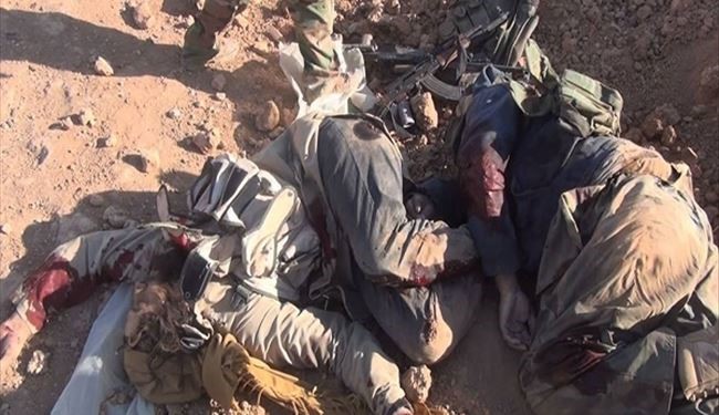 Two Terrorist Commanders Killed in Hama in Syria