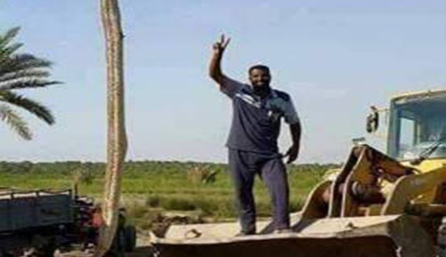 تارزان عراق، اژدهای خاکستری را کشت! +عکس