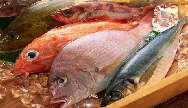 تراجع واردات مصر من الأسماك 30 % خلال 2017