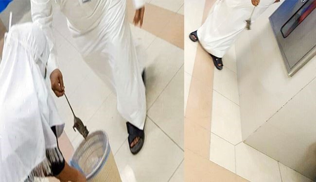 قوارض بمستشفى سعودية وموظفون يطاردون الفئران! +صورة