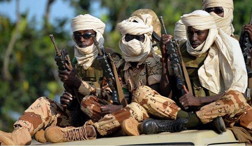 Niger, Chad Army Units Kill 38 ISIS-Linked Boko Haram Militants