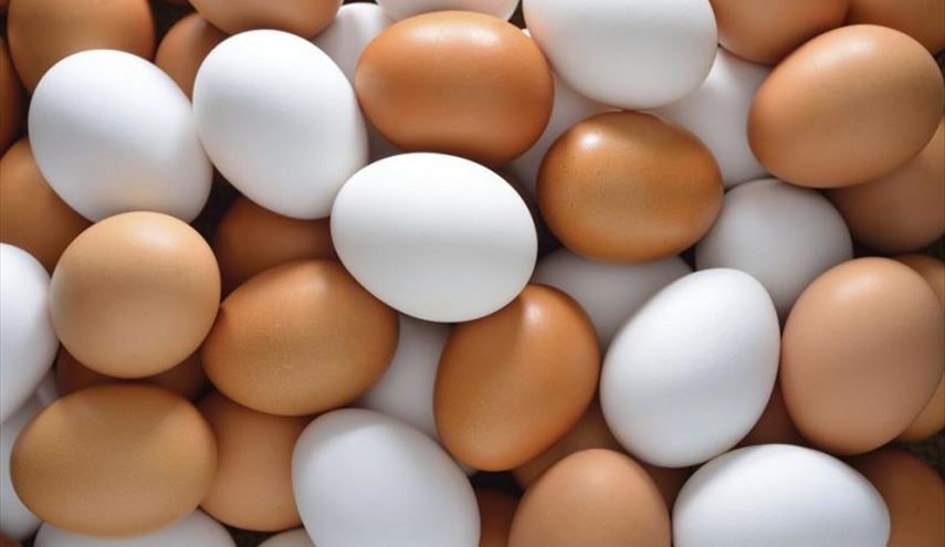 ما الفرق بين البيض الأبيض والبني؟ وأيهما أفضل؟