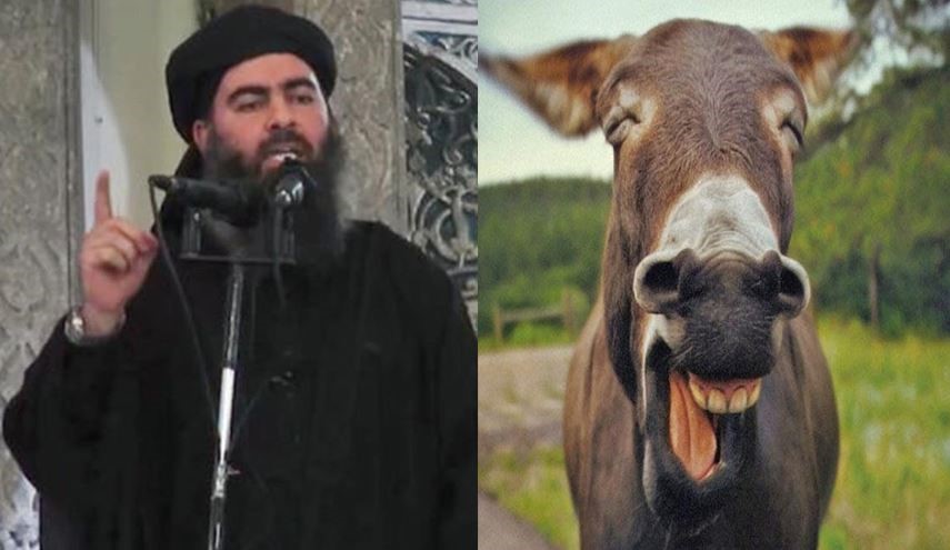 ISIS Leader Abu Bakr Al-Baghdadi Photos Spread on Donkeys in Iraq’s Mosul City