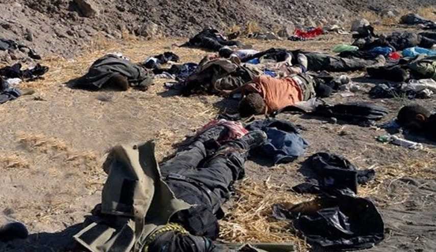 Syrian Army Units Kill over 70 Terrorists in Hama Province