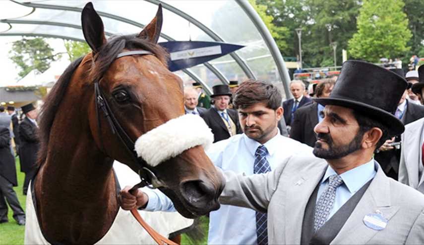 حاكم دبي أنفق 750 ألفا على سباقات خيول بريطانيا.. كم ثروته؟
