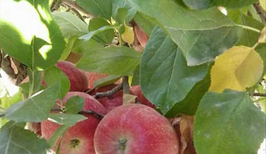 هل تعلم : ...ايموزار كندر مدينة مغربية ...!