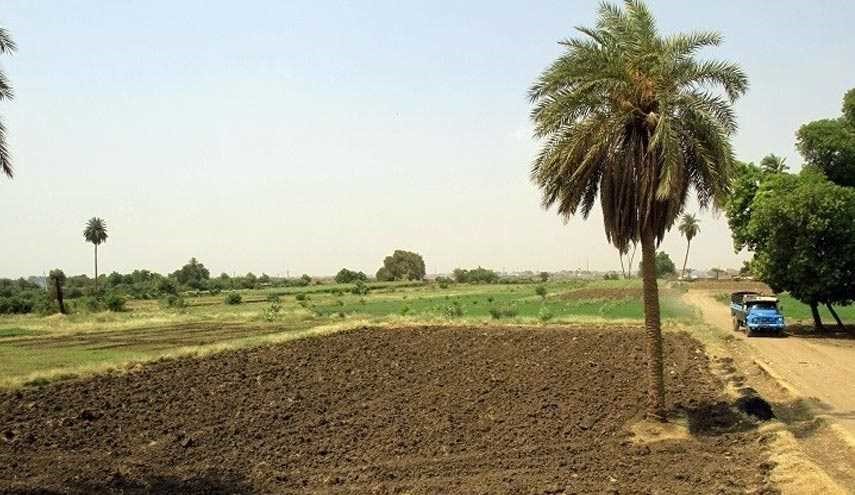 سودان به عربستان زمین مجانی می دهد!
