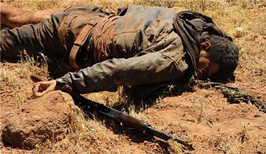 Top Commander of Terrorists in Aleppo City Killed in Syrian Army Attack