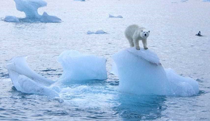 گرمای هوا در قطب شمال رکوردشکن می‌شود