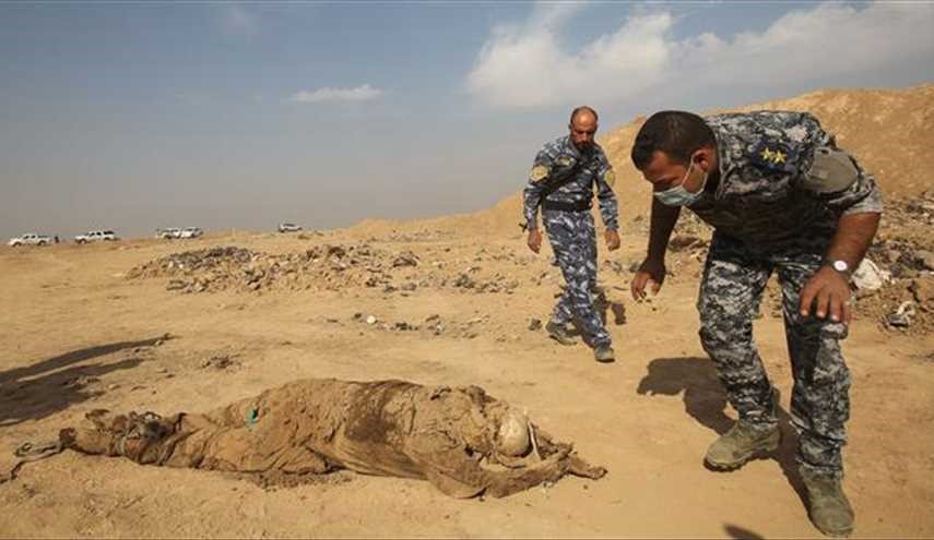 ISIS Executes Dozen of Iraqi Civilians near Mosul: HRW