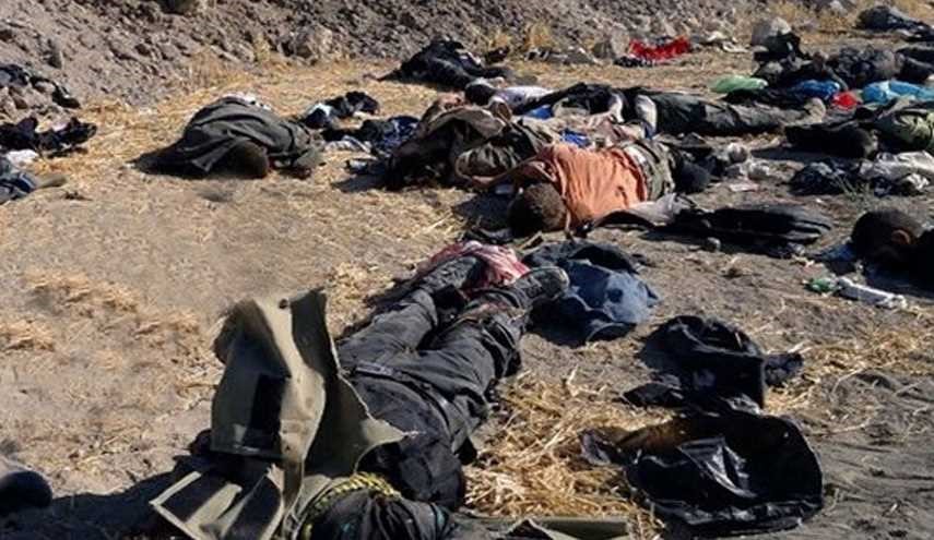 Syrian Army Troops Kill over 120 ISIS Militants in Clashes in Eastern Homs