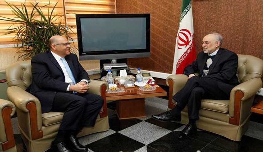 رایزنی صالحی و رییس جدید دفتر حفاظت منافع مصر در ایران