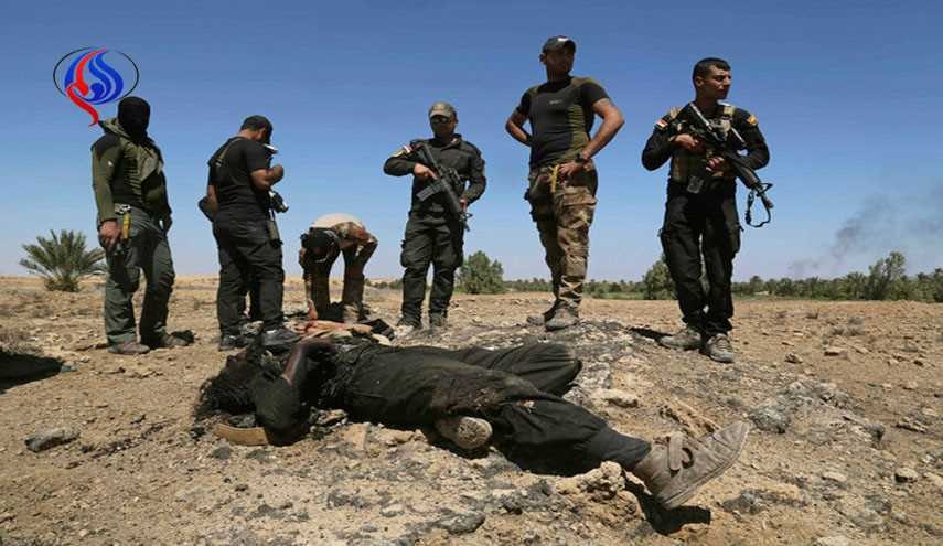 68 ISIS Terrorists Killed in Iraqi Army's Military Operations in Nineveh Province