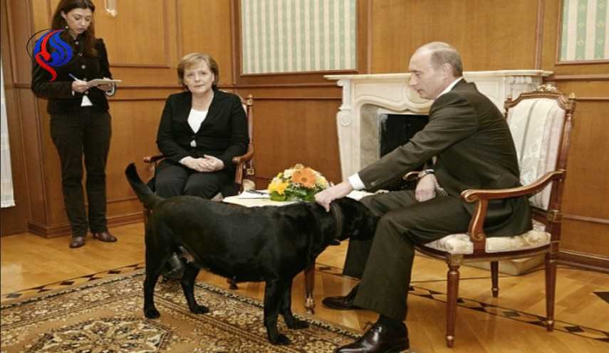 كلب بوتين الذي اخاف ميركل.. هذه مواصفاته العجيبة !