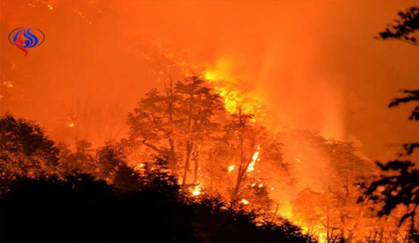 حريق غابات ضخم في تشيلي يأتي على مئة منزل