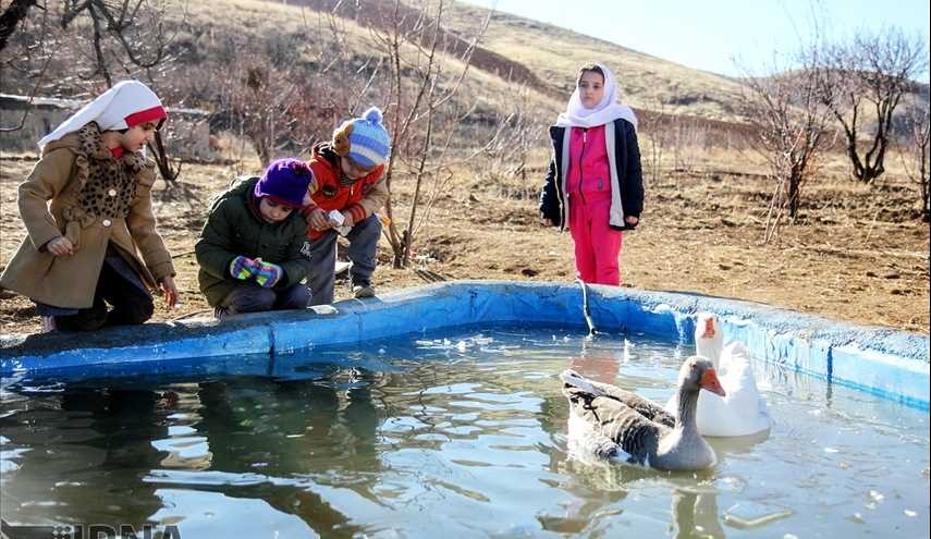 نخستین مدرسه طبیعت در استان کردستان/ تصاویر