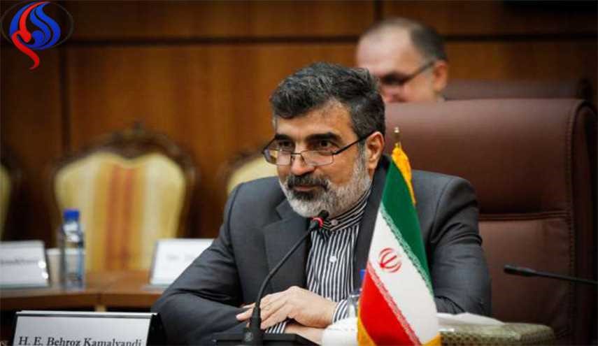 توضیحات کمالوندی درباره دستاورد تازه هسته ای ایران