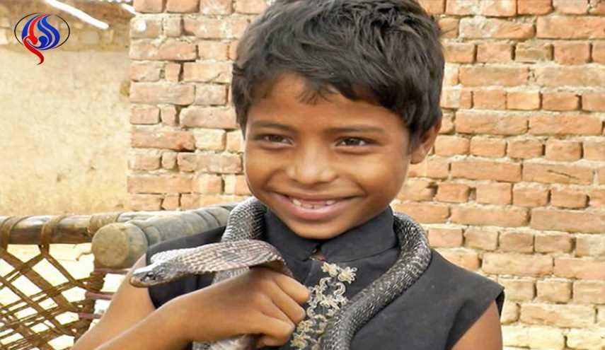 آموزش مهارت مارگیری از سه سالگی در هند