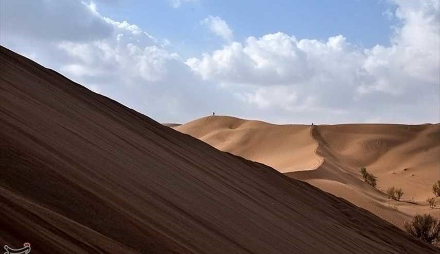 مسابقة رواد صحراء 