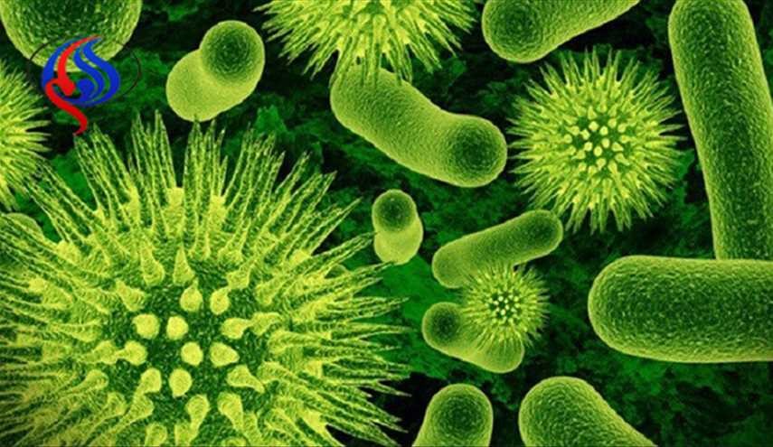 تعرف على أخطر أنواع البكتيريا على صحة الإنسان