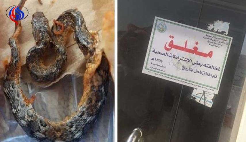 بالصور.. ثعبان داخل وجبة طعام في السعودية!!