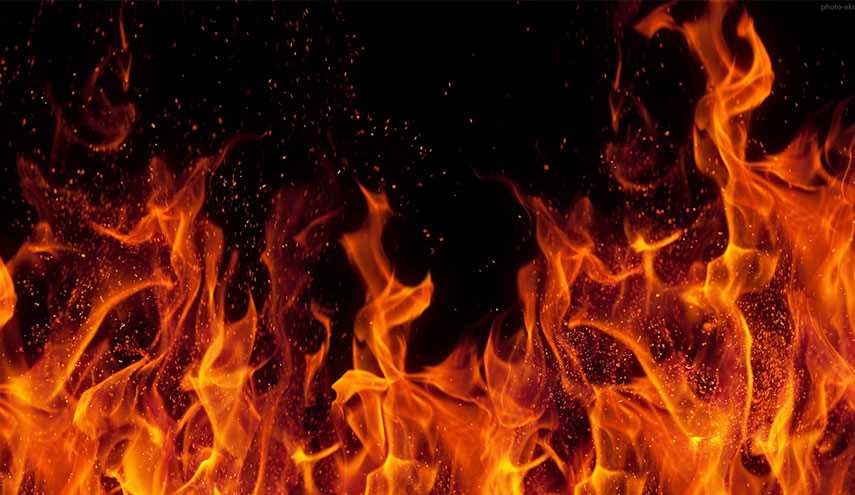 انسان ها از چه زمانی و چگونه کنترل و استفاده از آتش را شروع کردند؟