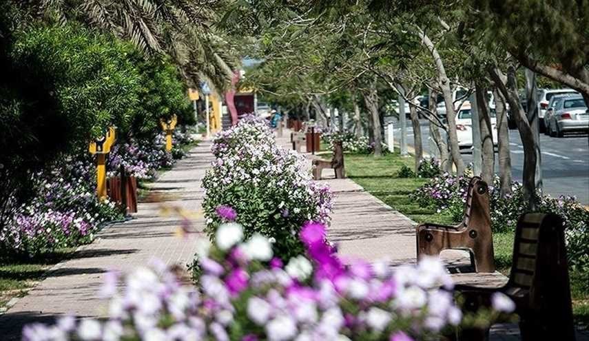 بالصور..فصل الربيع في جزيرة كيش الايرانية