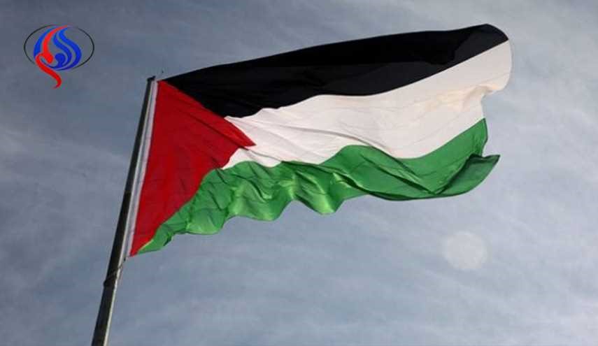رفع علم فلسطين بقرار رسمي فوق مبنى بلدية دبلن