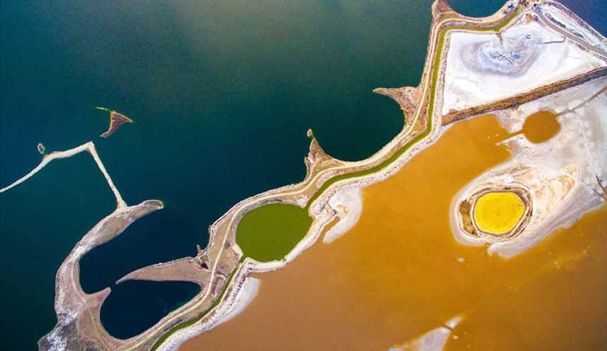 دریای مردۀ چین تغییر رنگ داد +عکس