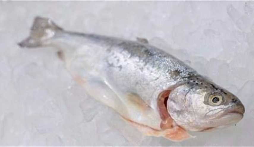 لا تخزّن الأسماك في الثلاجة قبل القيام بهذه الحيلة البسيطة