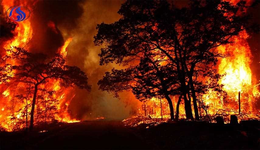 حريق غابات يهدد ألفي منزل في جنوب غرب فلوريدا
