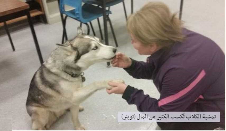 هذه أسهل مهن العالم... مع راتب كبير !