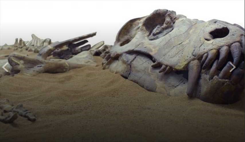 بالصور.. هكذا يبدو آخر ديناصورات إفريقيا قبل انقراضها