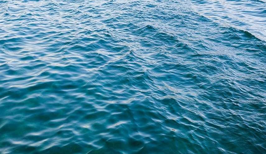 ماذا تحوي مياه البحر التي نبتلعها عن طريق الخطأ؟!