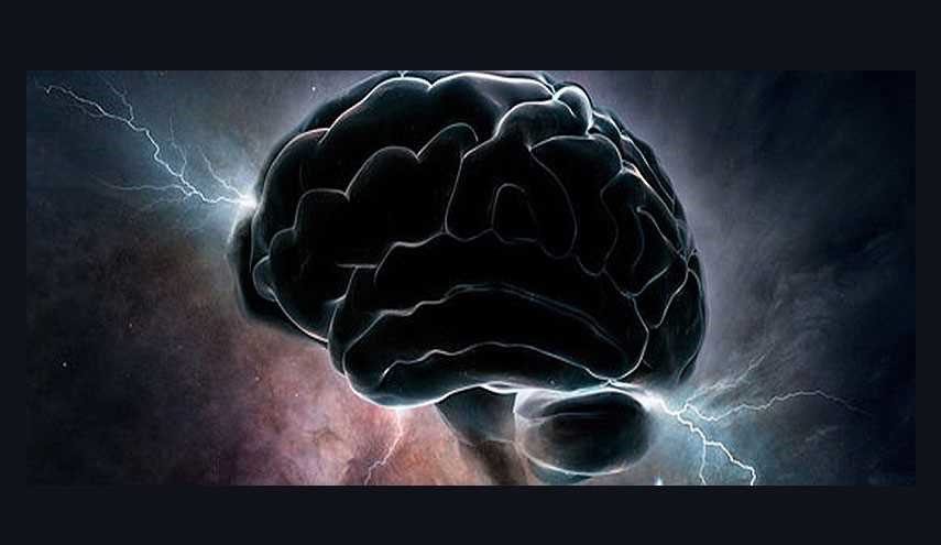 علت پیچیدگی مغز انسان چیست؟