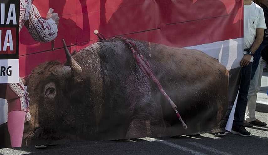 Thousands march in Madrid to demand end to bullfighting