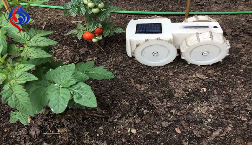 این ربات از باغچه و مزرعه‌تان نگهداری می‌کند!