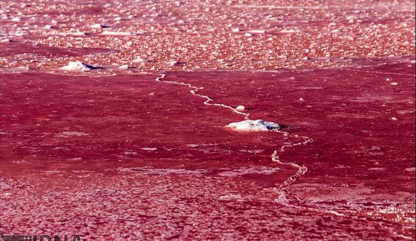 قرمز شدن ‌دریاچه مهارلو در شیراز