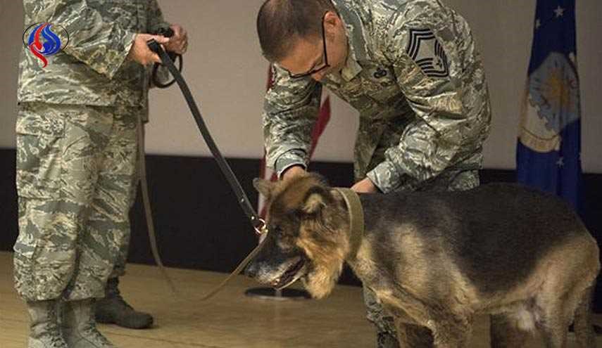 قاعدة عسكرية بتركيا تحتفل بتقاعد كلب خدم سلاح الجو الأميركي !