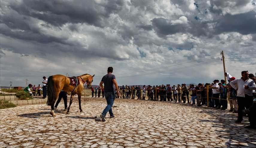 سباق الخيل في محافظة آذربيجان الشرقية شمال غرب إيران