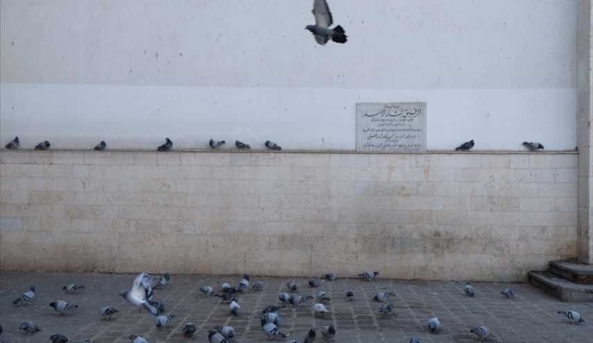 جولة وسط العاصمة دمشق /صور