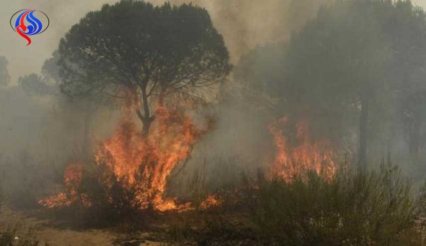 استمرار حرائق الغابات في جنوب اوروبا
