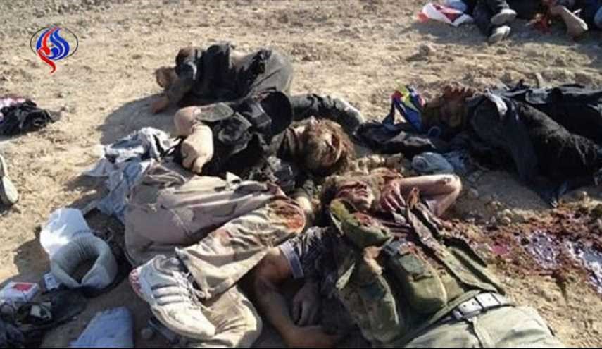 الجيش يحكم سيطرته على مناطق جديدة في ريف الرقة ويوقع قتلى من داعش