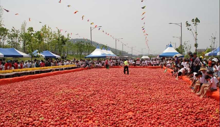 مهرجان الطماطم في كوريا الجنوبية